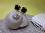 Royal Edge Studs